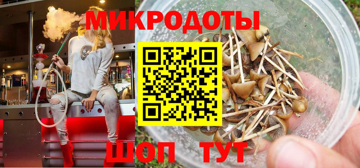 Галлюциногенные грибы ЛСД Печора